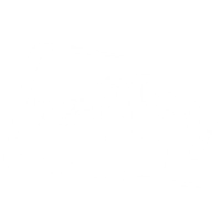 Wired 2 Fish