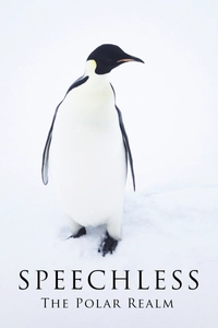 Speechless: The Polar Realm