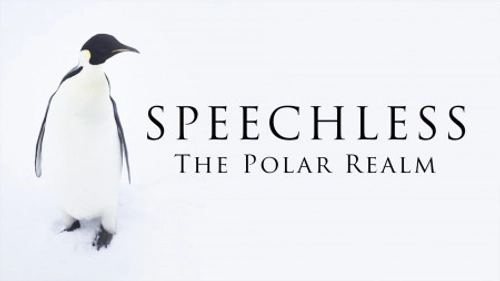 Speechless: The Polar Realm