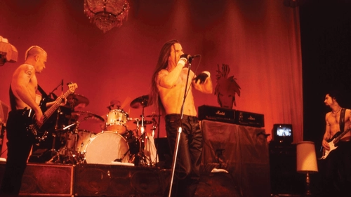 Red Hot Chili Peppers: In Performance