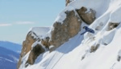 Homegrown Tour Guide