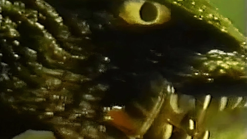 Gamera: Destroy All Planets