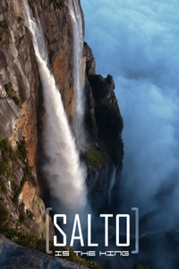 Salto Is The King