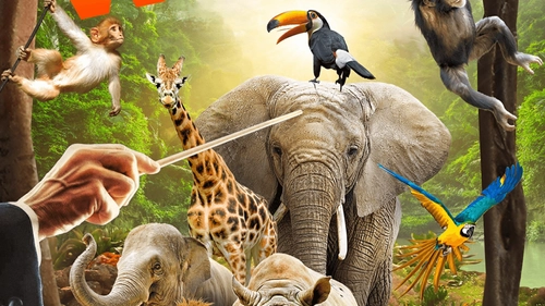 Symphony of the Wild