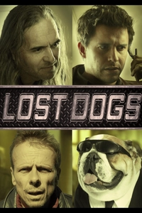 Lost Dogs