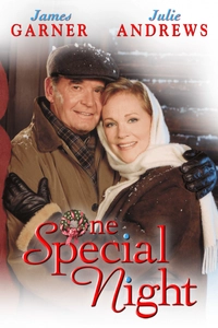 One Special Night