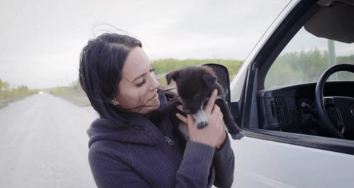 Fostering Hope: A Dog Rescuer's Story