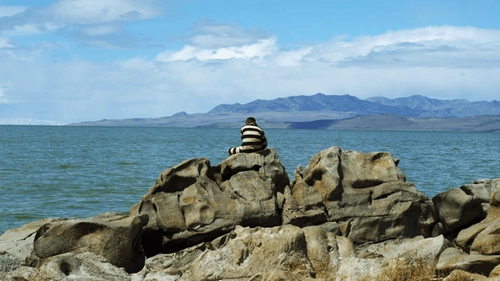 For Robbing The Dead