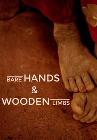 Bare Hands & Wooden Limbs